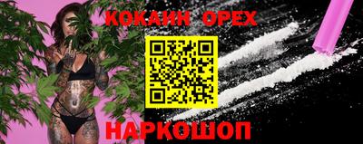 молекула духа Пугачёв